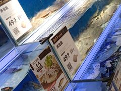 水产区-盒马鲜生(岭南新世界店)