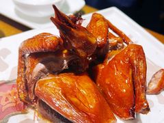 -大鸽饭(动物园店)