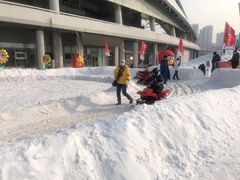 -沈阳奥体冰雪嘉年华