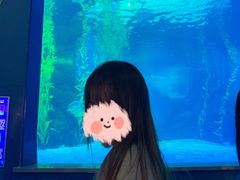 -常州海昌海洋探索馆
