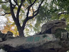 -惠山古镇·寄畅园