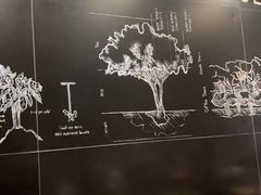 -星巴克(南京商厦店)