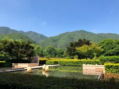 -羡餐厅·杭帮菜·淳菜(千岛湖自由洲际殿店)