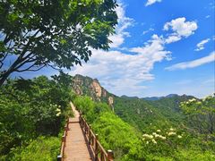 -大岭沟猕猴桃谷风景区