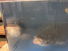 -香山湖渔家大院