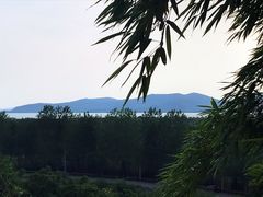 -上海市保健医疗中心(华东疗养院)