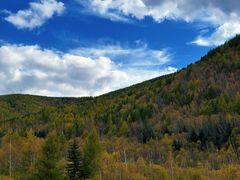 -塞罕坝国家级自然保护区