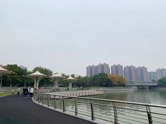 -映月湖中央公园