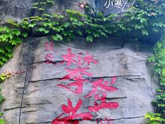 -南山植物园
