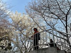 -南浦大桥长途旅游客运站