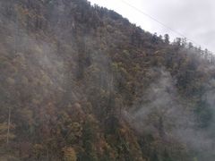 -峨眉山报国寺