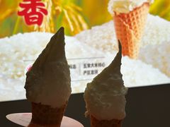 -野人先生现做冰淇淋(北京环宇荟店)