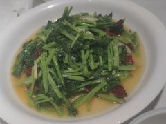 鸡毛菜-沽上民肴·海鲜锅贴·天津菜(福州道鸿正家园店)