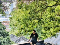 -广州神农草堂中医药博物馆