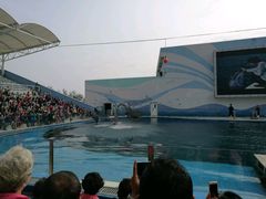 -北戴河圣蓝海洋公园