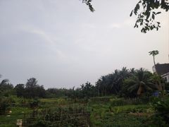 -海恋园海鲜餐馆