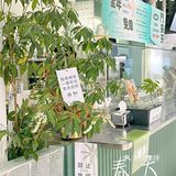 自带玻璃瓶又来喝养生健康茶饮啦
