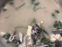 -大湾区中央湿地公园-十九涌