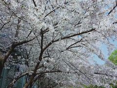 -北京广电国际酒店