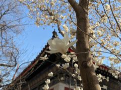 -北京艺术博物馆(万寿寺)