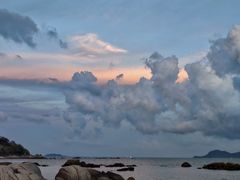 -花海间·即刻露营