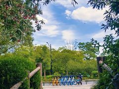 -新江湾城公园