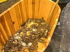-初色海鲜自助(万丰路店)