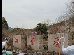 -香雪海