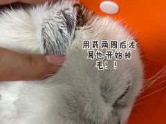 -希望动物医院(汉阳院)