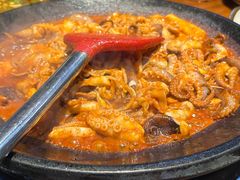 -红辣椒八爪鱼特色韩国料理