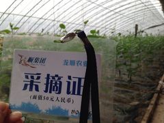 iphone_upload_pic-万源龙顺度假庄园生态观光园