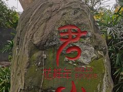 -知美术馆