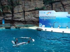 -杭州长乔极地海洋公园