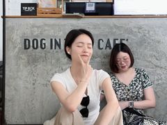 -Dog in Town Ekkamai