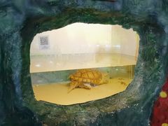-上海大自然野生昆虫馆