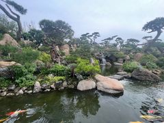 -罗红摄影艺术馆