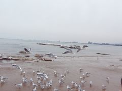 -老虎石海上公园