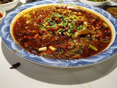 -新概念来凤鱼(璧山店)