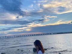 -宝安西湾红树林湿地公园