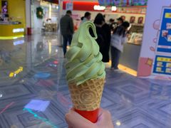 -蜜雪冰城(新世纪店)