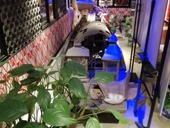 -江边城外烤全鱼(方庄时代购物中心店)