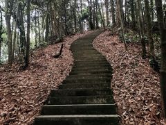 -缙云山景区