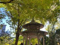 -玲珑塔公园