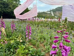 -龙环葡韵住宅式博物馆