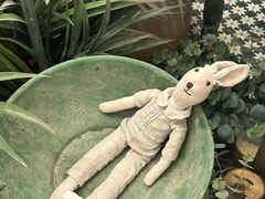 -春风·有糖(崇宁路店)