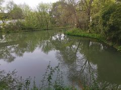 -西溪国家湿地公园