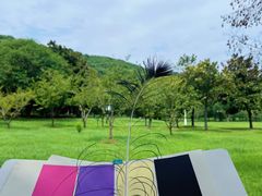 -苏州上方山国家森林公园