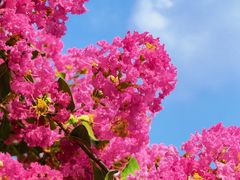 -杭州城北体育公园