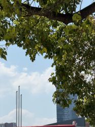 -广州萨谛艾扬格瑜伽中心