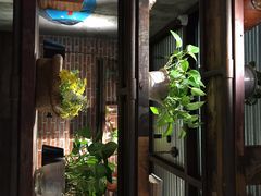 -探鱼·鲜青椒爽麻烤鱼(三水广场店)